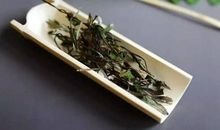 林清玄：一千支银针