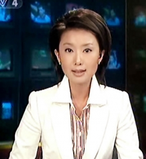 描述女主人的句子