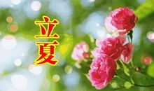 夏天关心人的话