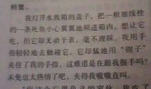 习作作文：童年傻事