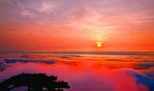 经典语录：阳光和你都在，就是我想要的未来