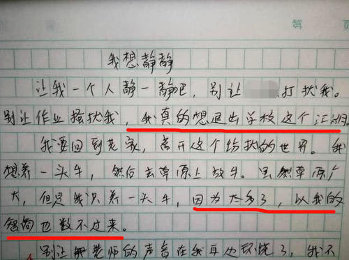 写作作文：我班有一位孙悟空