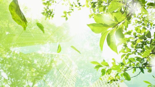 珍惜人生座右铭