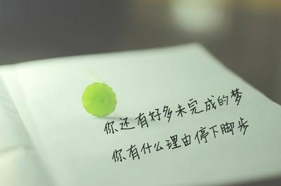 美文摘抄加赏析