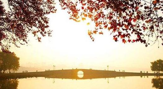 学生代表作:读《皮肤》后的感想