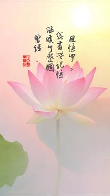 描述阳光的陈述