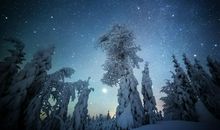 俞平伯：冬夜之公园