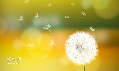 描述夏天的声明