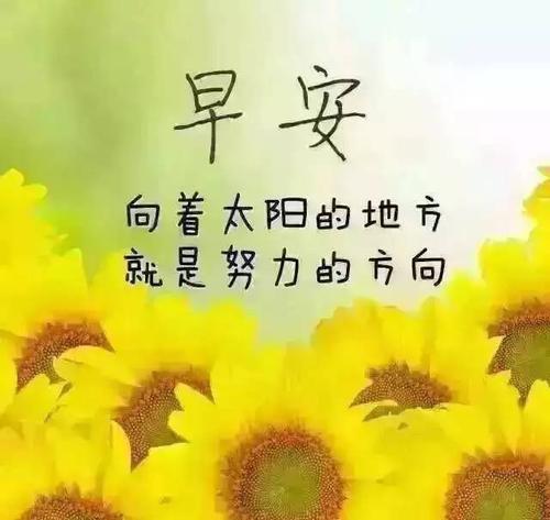 早上好问候