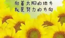 早安问候语大全