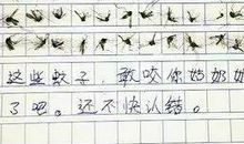 熏蚊子作文