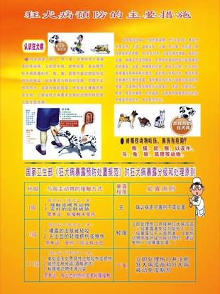 狂犬病预防口号