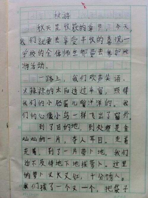 写一个作文：我爷爷