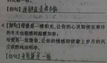 表示动作的句子