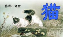老舍：我们家的猫