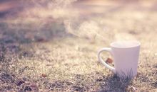 有哲理的句子带有感悟：桃李不言，下自成蹊