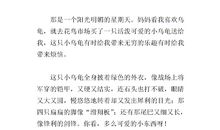 我和乌龟的故事作文