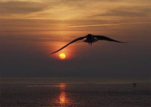 努力工作，不要意识到黎明已经过去