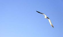 关于夏天的谚语大全