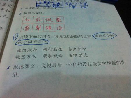 在句子中使用成语