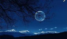 关于月亮的美文佳句