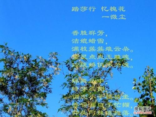 描写春天的花朵的诗