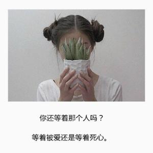 经典语录:有些爱只能终结于岁月中隐藏的嘴唇和牙齿