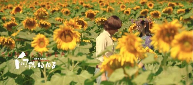 电影《阳光下的一天》的感想