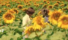 电影《向阳的日子》观后感