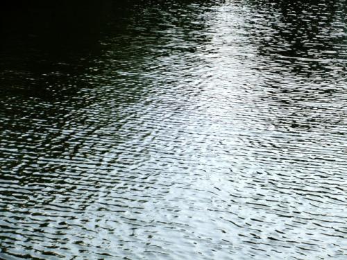 闪闪发光的句子