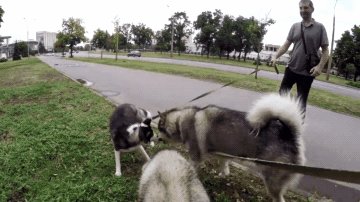 在一个句子中数量超过