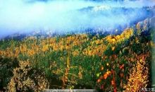 老舍：番表——在火车上