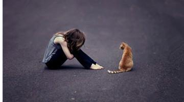 那些困惑的人,请看这三点