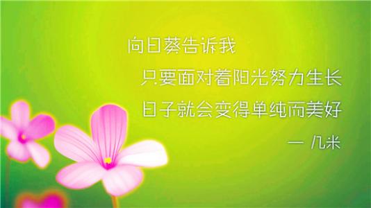 2018年最美的句子