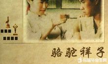 骆驼祥子读后感200字