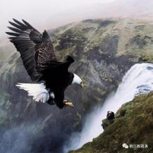 重新定义10,000小时的生命：没有天才