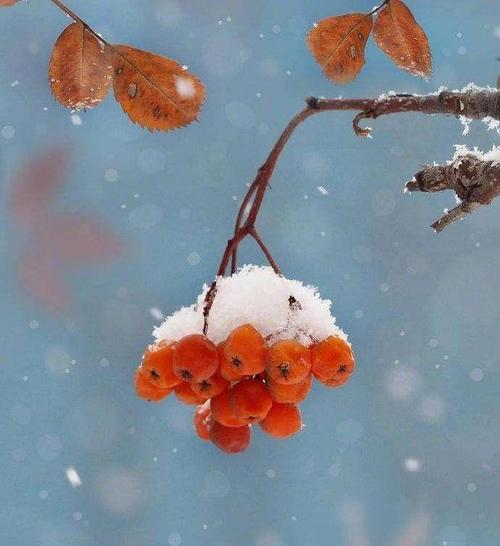 18微信经典语录中的人生洞察力，每一句话都很详尽，无论谁看到并受益