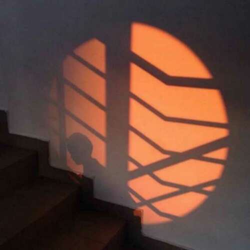 习慕容：单树与鉴赏