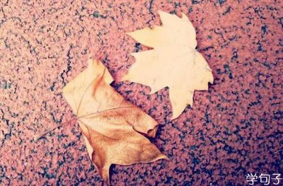 审美和哲学的句子：今天一个胜过两个明天1