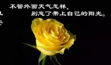 富有人生哲理的段落