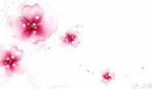 星星是穷人的钻石，幸福是很简单的事