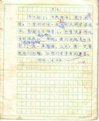 老师的阅读经验600字