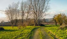 农村环境优美的诗句