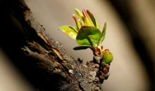 生命中最简单而又最困难的事情