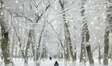 关于雪的现代诗