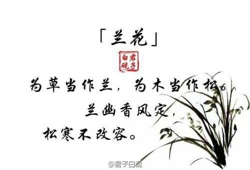 美丽的古代经文，描述兰花