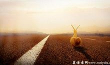 每天努力一点点，一点点就够了