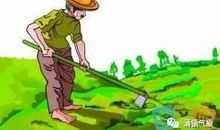 关于雨水的农业谚语