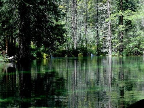 瓦尔登湖英语读后感