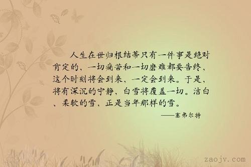 句子描述生活的痛苦